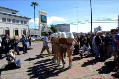 gumball-3000-slide-show-087