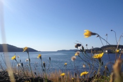 iphonepicturebackup-048